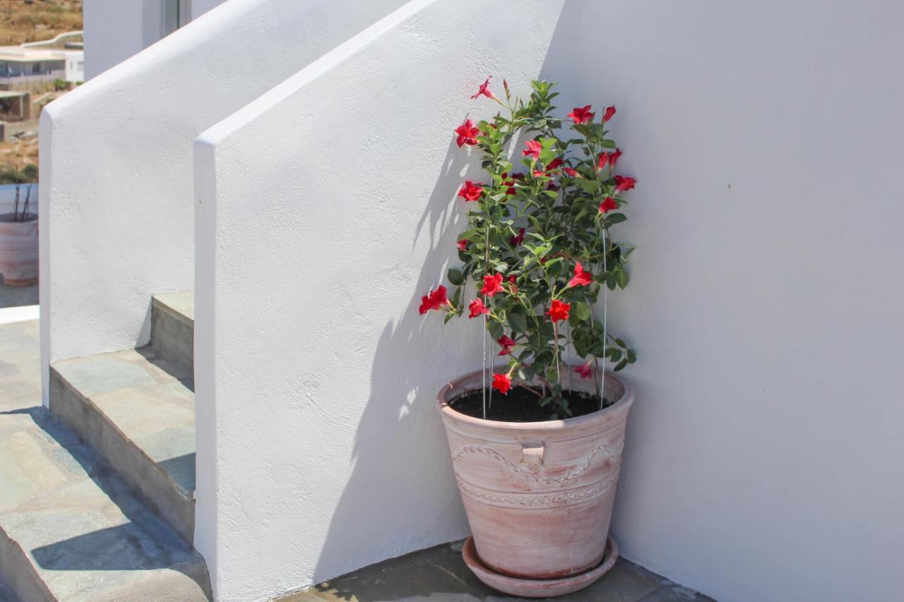 Crystal View Mykonos Mykonos Town Exterior foto